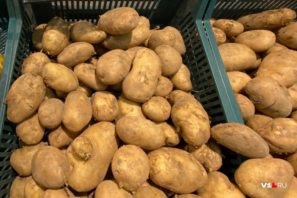 Картошка из продуктов первой необходимости скоро перейдет в разряд деликатесов Картошка из продуктов первой необходимости скоро перейдет в разряд деликатесов