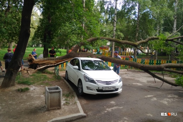 Владелец оценивает ущерб в полмиллиона Владелец оценивает ущерб в полмиллиона