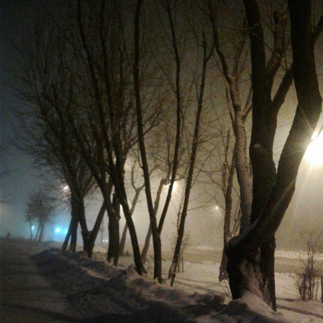 Деревья в молоке Деревья в молоке