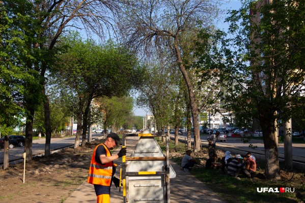Рабочие слышали о страшной находке, но много рассказать об этом не смогли Рабочие слышали о страшной находке, но много рассказать об этом не смогли