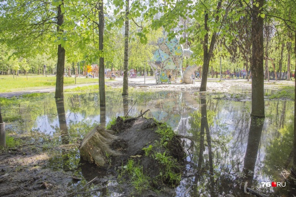 Ракета в болоте Ракета в болоте