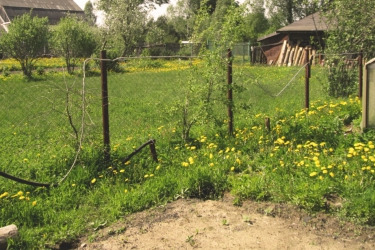 Житель Ярославской области выстрелил в бабушку и покончил с собой