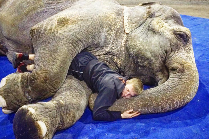 Если работаешь со слонами, то можно отдохнуть и так