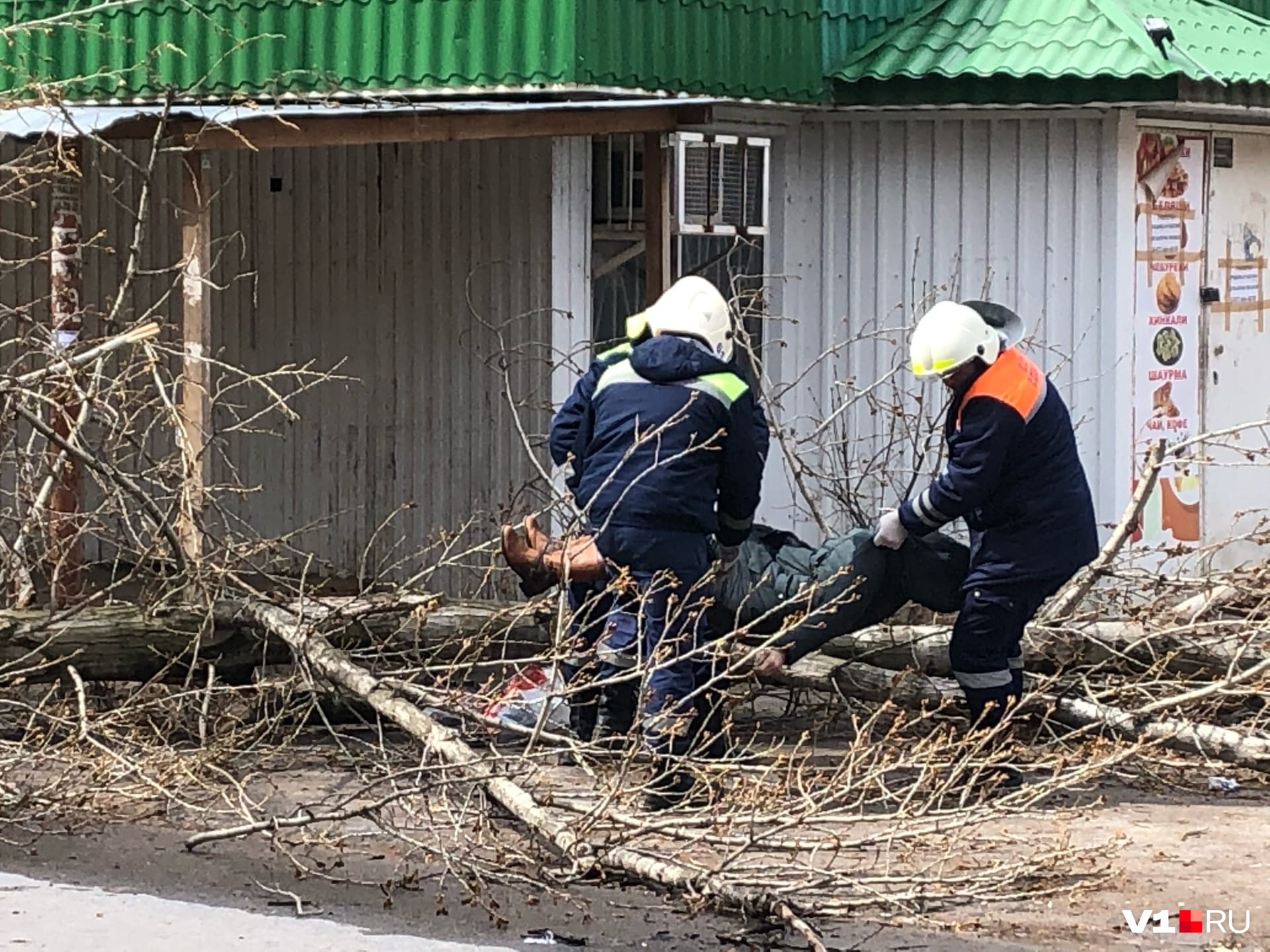 Незаконный собственник. Убило спиленное дерево. Брестская 17 Волгоград Красноармейский район.