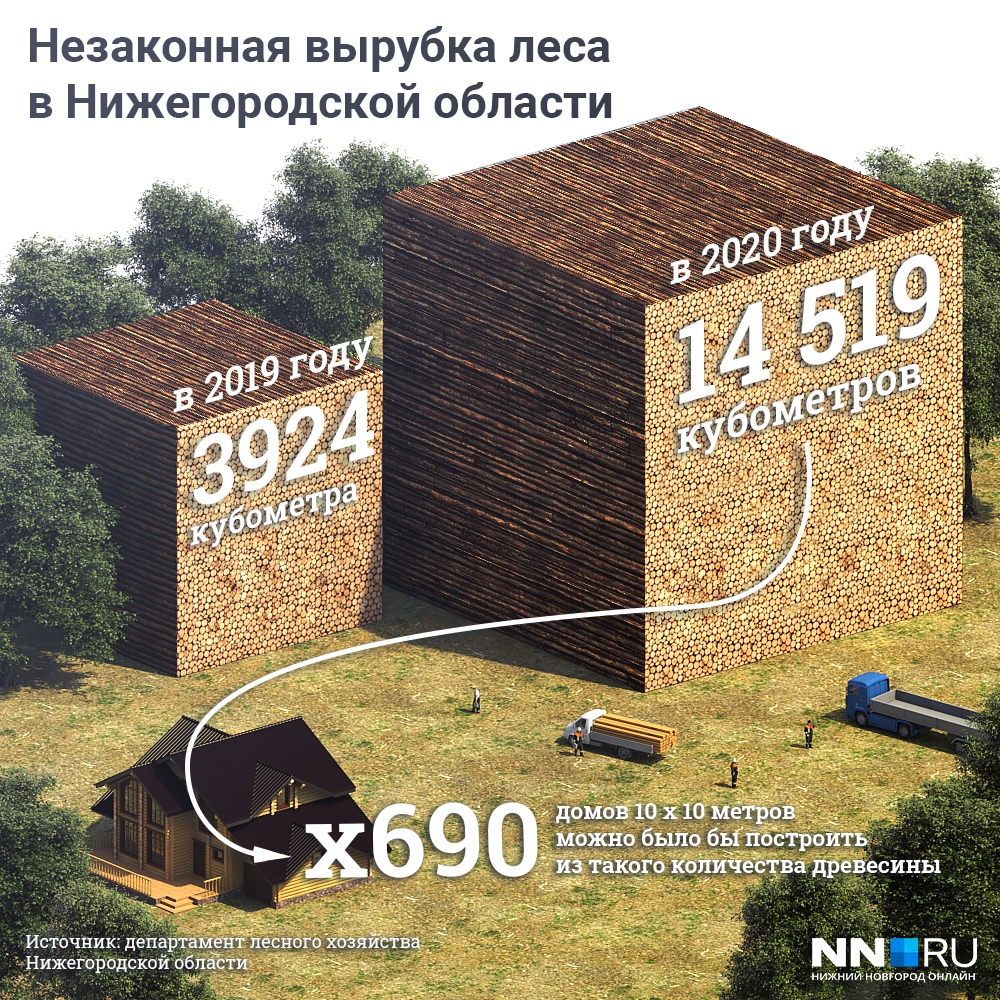 Вырубленных деревьев хватило бы на постройку 690 новых домов Вырубленных деревьев хватило бы на постройку 690 новых домов