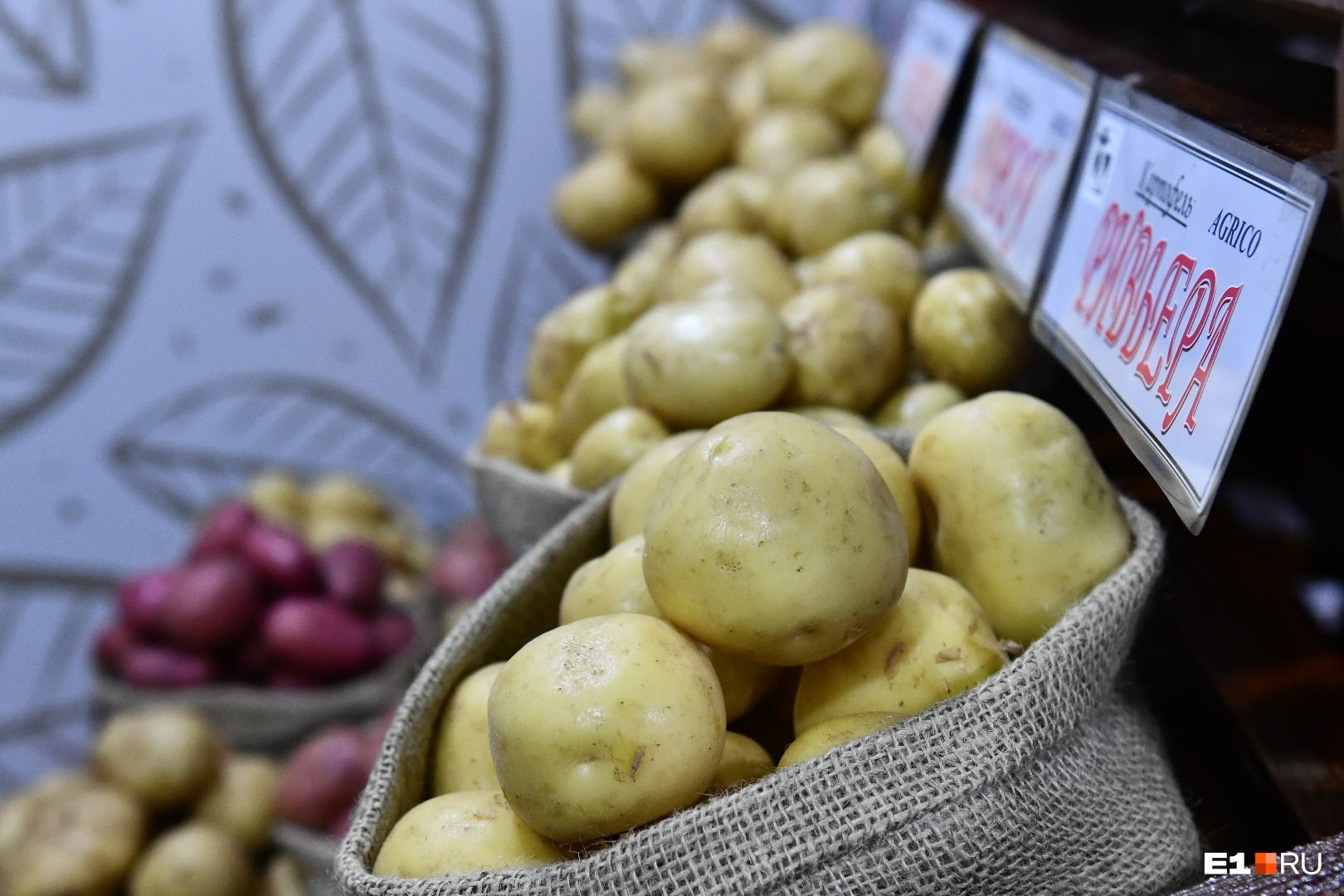 «Урожайность в два раза сократилась». Картошка на Урале снова взлетит в цене