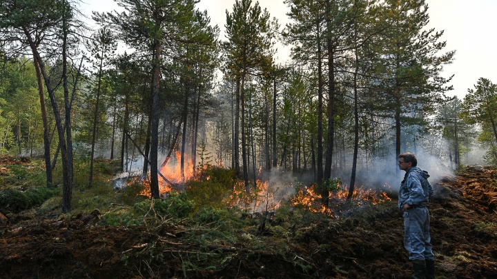 В западной части Югры горит лес на территории 93,2 га