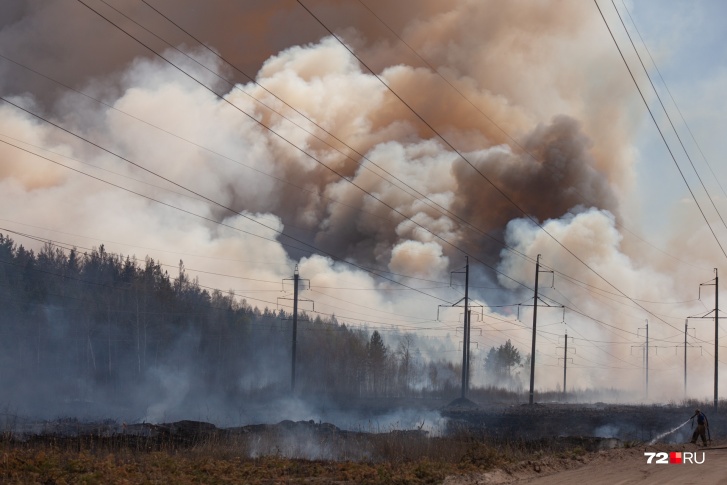Густой едкий дым окутал весь регион: эти пожары Тюмень запомнит надолго