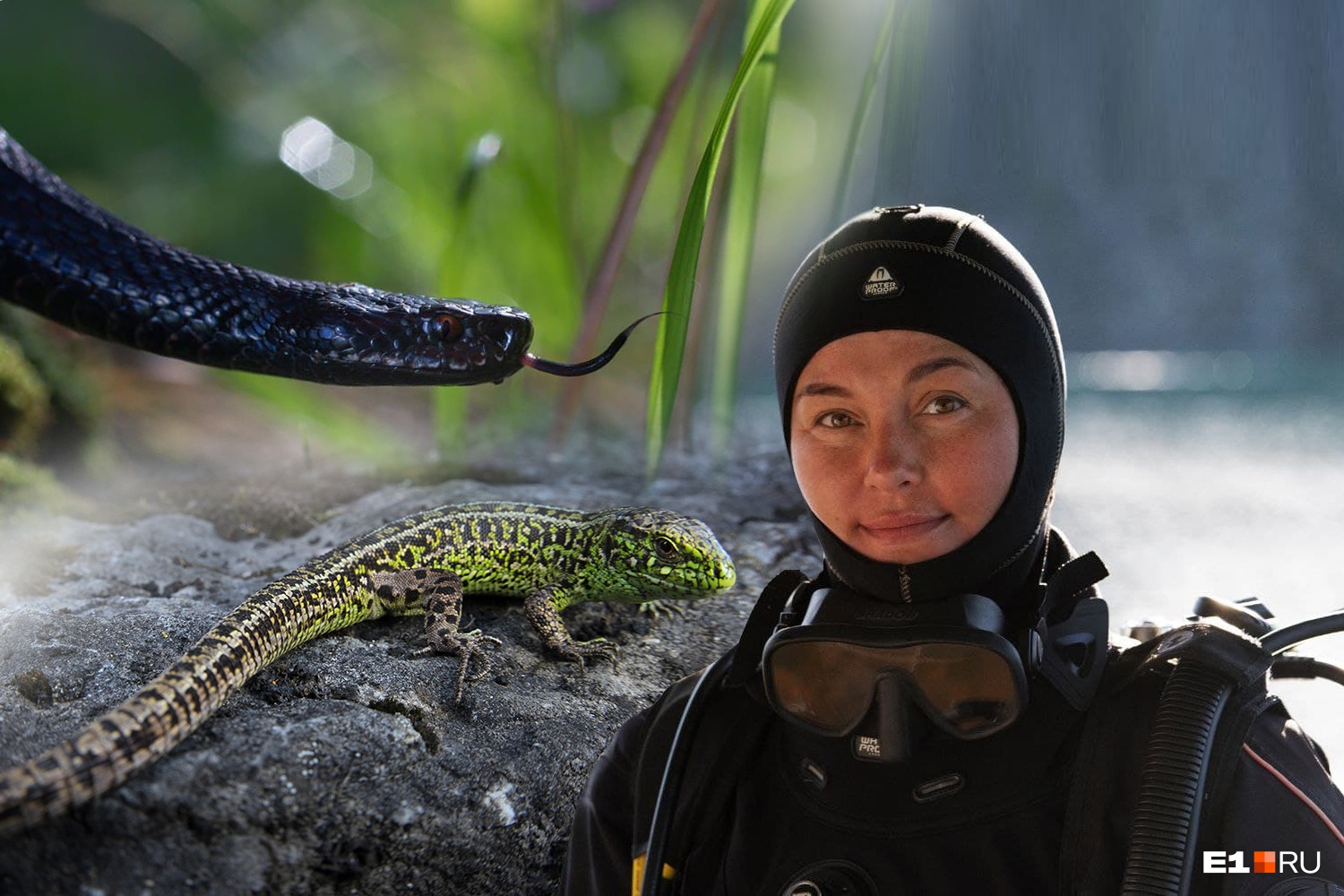 Русалка с камерой: екатеринбурженка фотографирует под водой редких животных и ядовитых змей