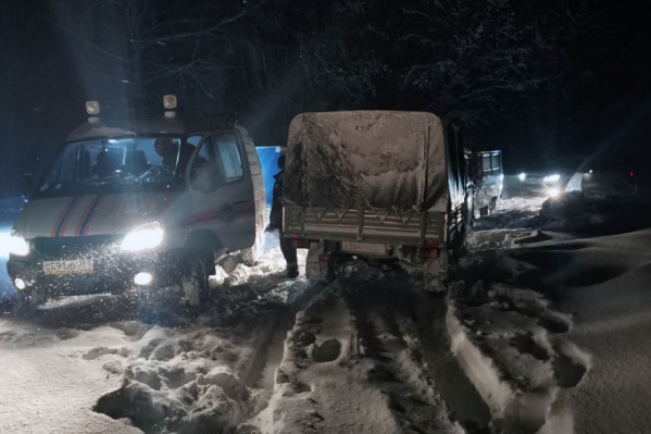 В поисках участвовали спасатели и представители лесничества В поисках участвовали спасатели и представители лесничества