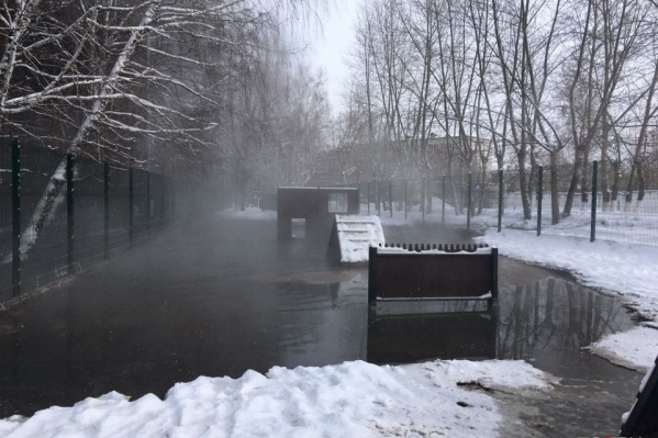 Сточные воды разлились на территории лесопарка Сточные воды разлились на территории лесопарка