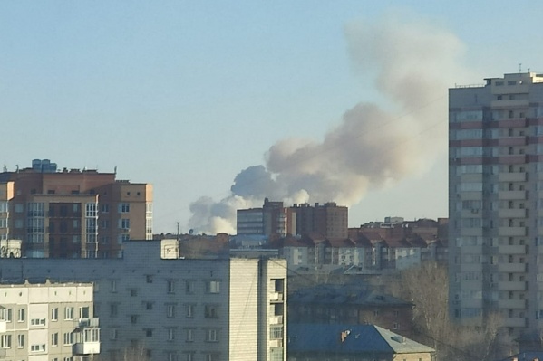Пожарные дежурят возле дач, чтобы огонь не перекинулся на них Пожарные дежурят возле дач, чтобы огонь не перекинулся на них