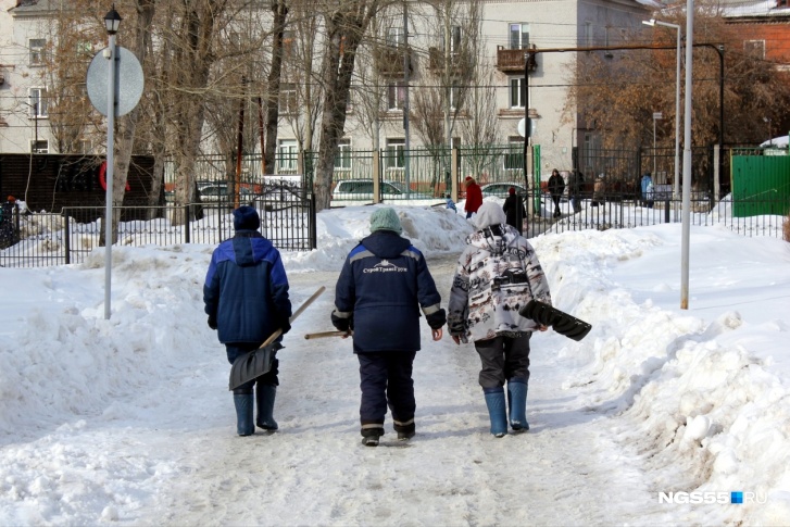 Для каждой шестой вакансии в Омской области квалификация не требуется Для каждой шестой вакансии в Омской области квалификация не требуется