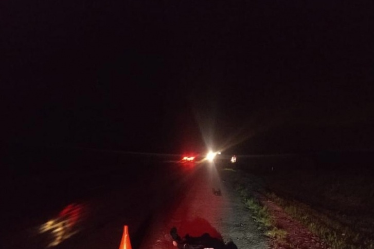 Пешеход погиб на месте аварии Пешеход погиб на месте аварии