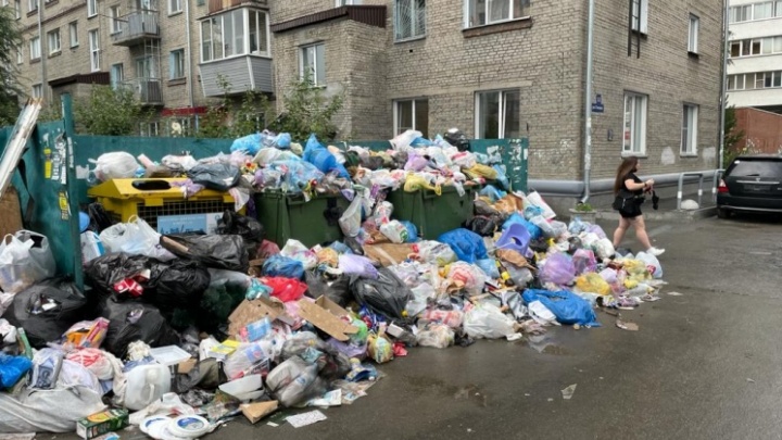 «Экология-Новосибирск» попала под статью из-за плохого вывоза мусора в центре города