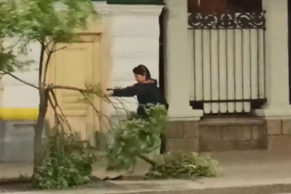 За сломанные деревья омичке придется отдать крупную сумму За сломанные деревья омичке придется отдать крупную сумму
