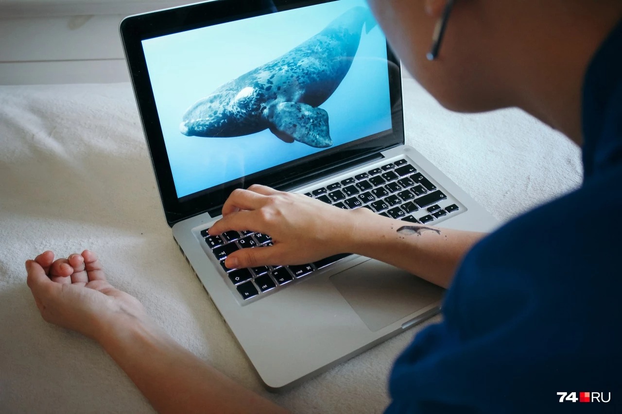 На Урале десятилетняя школьница чуть не стала жертвой «Синего кита»