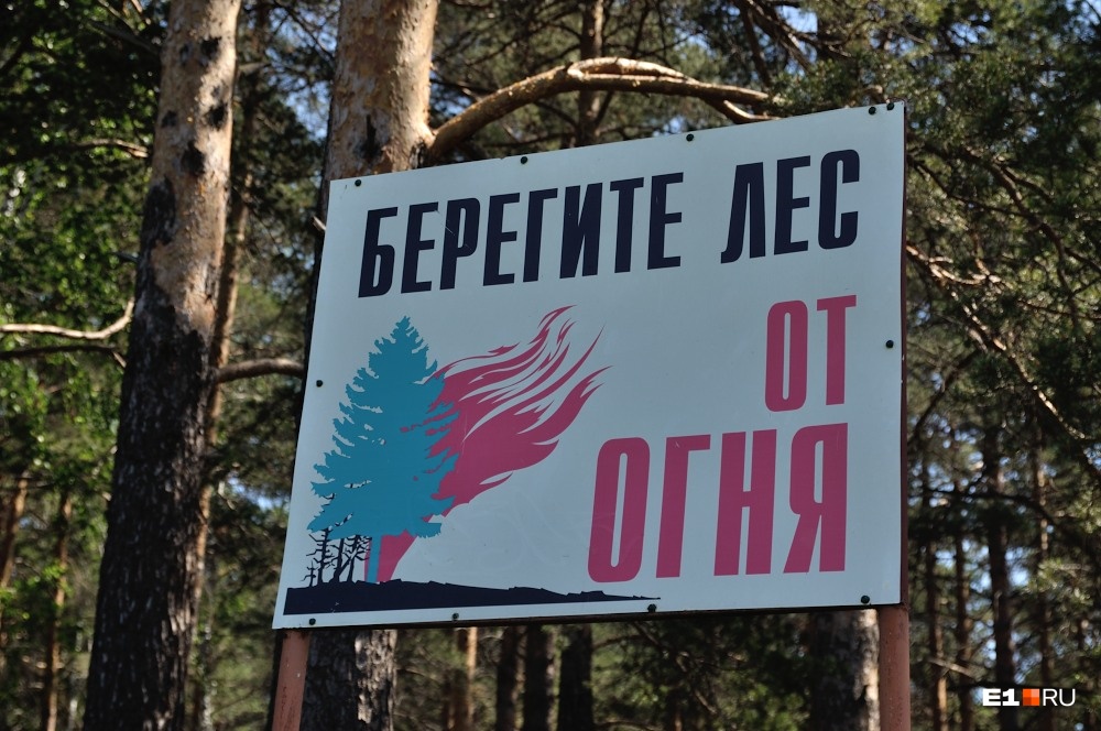 Леса горят, но уже меньше: площадь пожаров в Свердловской области сократилась вдвое