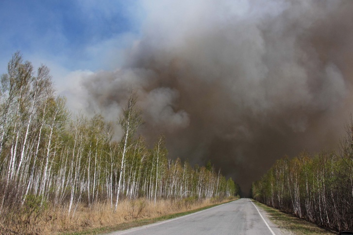 11 мая. Борьба с ландшафтным пожаром в Ишимском районе 11 мая. Борьба с ландшафтным пожаром в Ишимском районе 