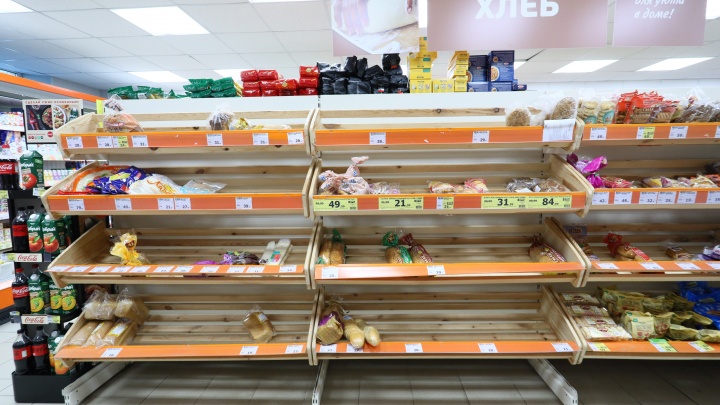 Сможет ли Россия прокормить себя в условиях санкций? Эксперт — о ситуации в сельском хозяйстве и его зависимости