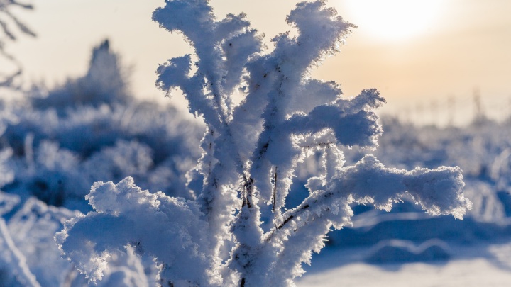 МЧС предупреждает о морозах до -31 градуса в Пермском крае