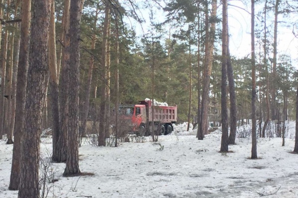 КАМАЗ вывалил снег прямо в городском бору, хотя для этого в конце прошлого года открыли специальную площадку КАМАЗ вывалил снег прямо в городском бору, хотя для этого в конце прошлого года открыли специальную площадку