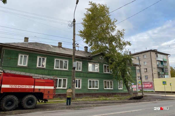 Дерево обещают убрать завтра утром Дерево обещают убрать завтра утром