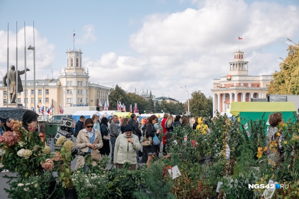 Последняя ярмарка прошла 10 сентября Последняя ярмарка прошла 10 сентября