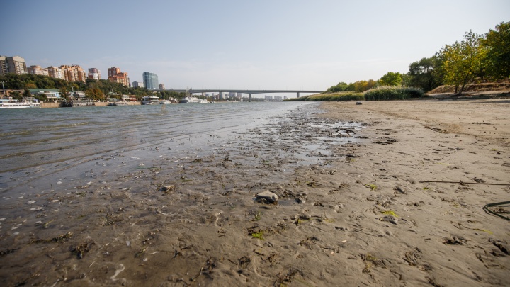 РФ потратит 100 млрд рублей на оздоровление реки Дон. Что это значит для Ростовской области?