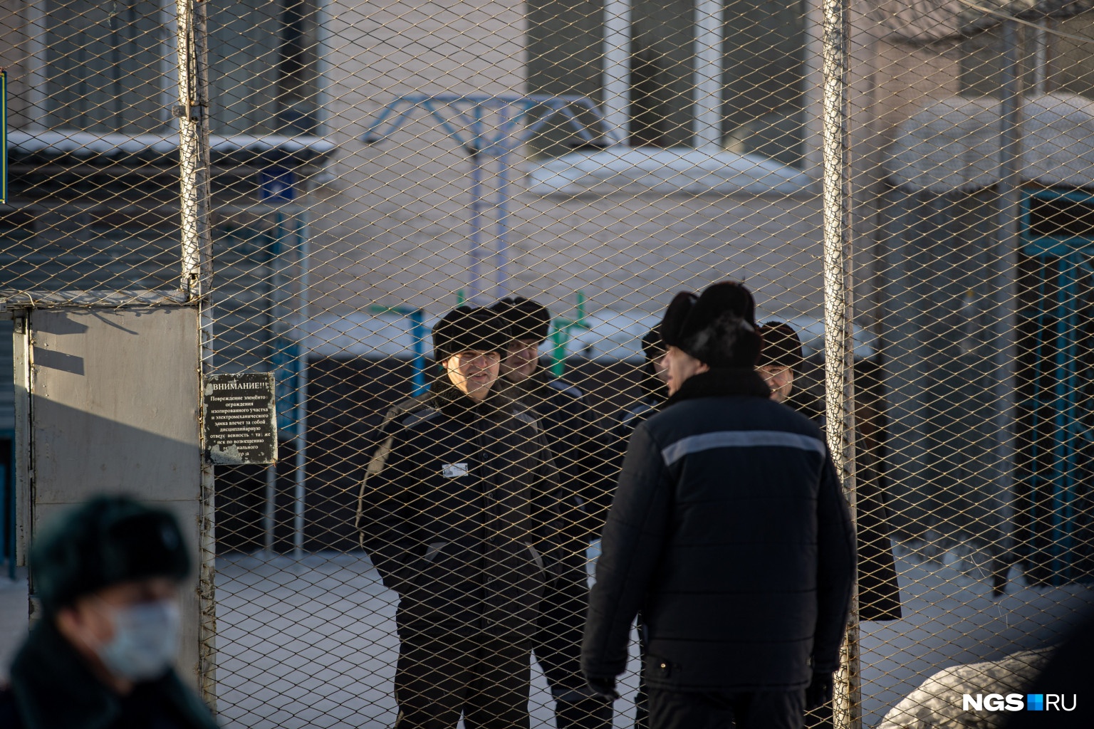 В колонии в это время продолжается обычная жизнь В колонии в это время продолжается обычная жизнь 
