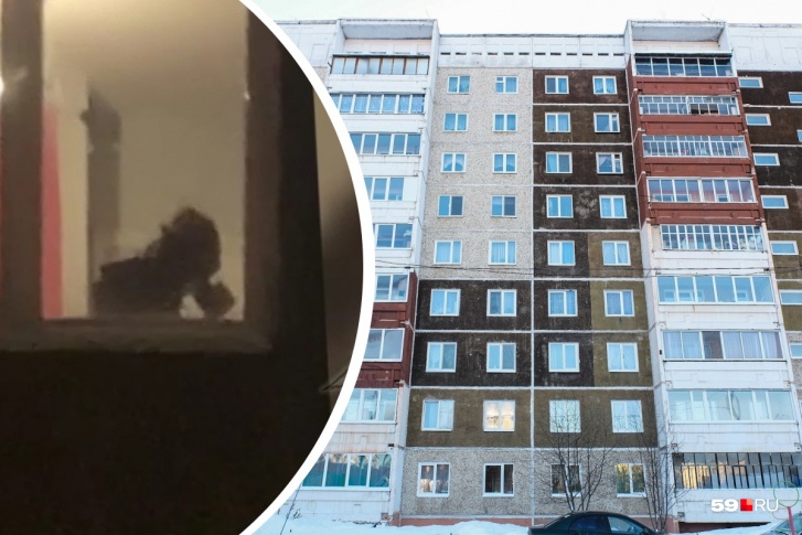 Подросток делал наркотики в съемной квартире в доме на улице Костычева
