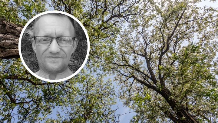 Под Волгоградом без вести пропавшего мужчину нашли удушенным в лесу
