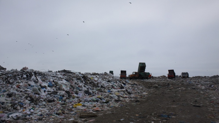 В Тольятти ликвидируют два полигона с ядовитым мусором