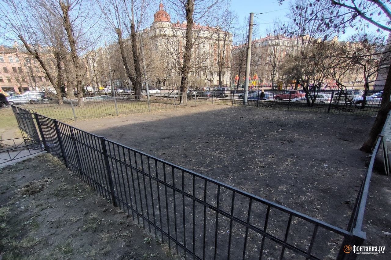 Площадка для выгула на Большой Пушкарской ул., напротив Матвеевского сада<br><br>автор фото Михаил Огнев / «Фонтанка.ру»<br>