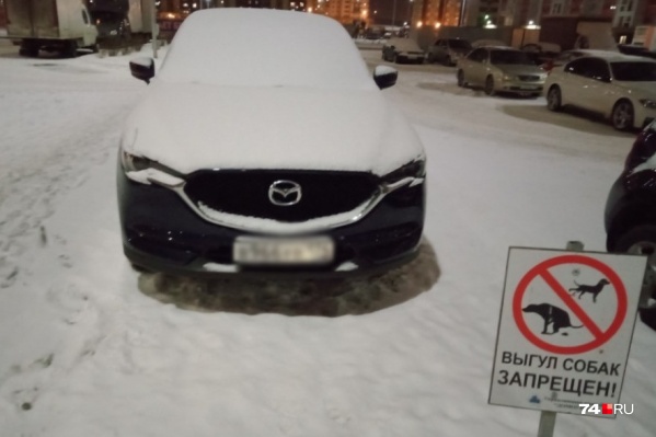 Курганцев ловят на парковке авто вне установленных мест Курганцев ловят на парковке авто вне установленных мест