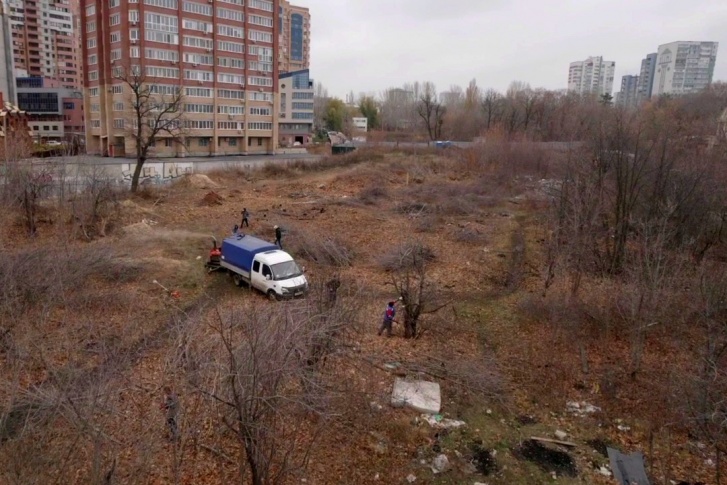 На месте небольшой лесопосадки уже образовался пустырь На месте небольшой лесопосадки уже образовался пустырь