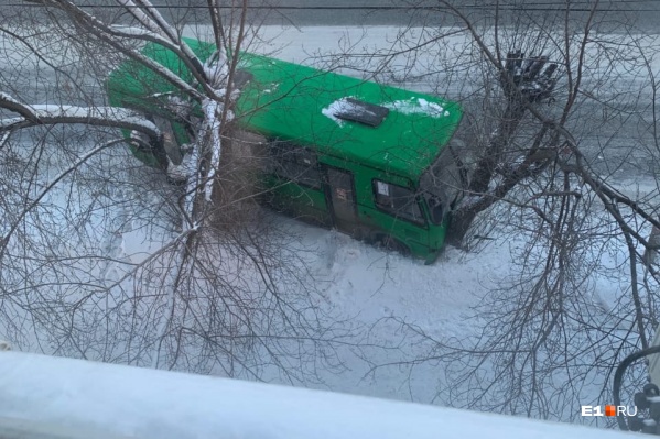 Автобус сначала столкнулся с легковушкой, а потом протаранил дерево Автобус сначала столкнулся с легковушкой, а потом протаранил дерево