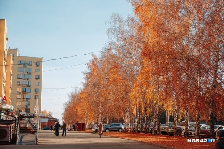Самый теплый день будет во вторник Самый теплый день будет во вторник