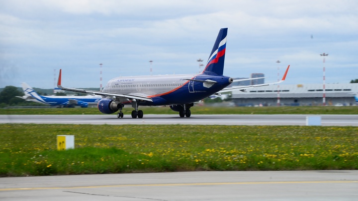 Самолет, летевший из Екатеринбурга, столкнулся со стаей птиц при посадке