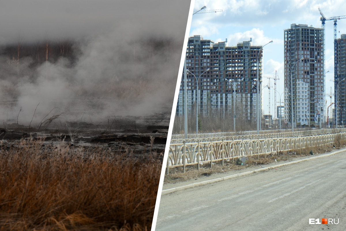 На месте горящих торфяников в Екатеринбурге появятся жилые дома. Насколько это безопасно?