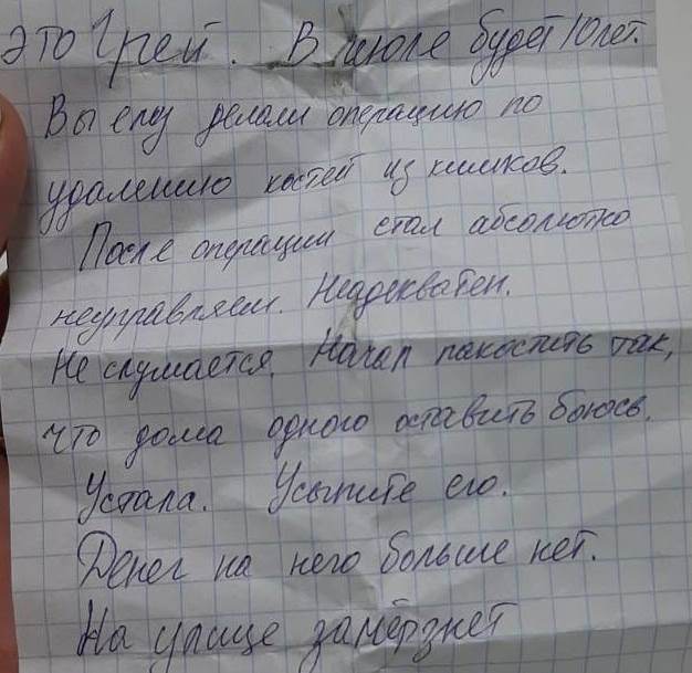 «Это Грей. В июле будет <nobr class="_">10 лет</nobr>. Вы ему делали операцию по удалению костей из кишок. После операции он стал абсолютно неуправляемым. Неадекватен. Не слушается. Начал пакостить так, что дома оставить боюсь. Устала. Усыпите его. Денег на него больше нет. На улице замерзнет» «Это Грей. В июле будет <nobr class="_">10 лет</nobr>. Вы ему делали операцию по удалению костей из кишок. После операции он стал абсолютно неуправляемым. Неадекватен. Не слушается. Начал пакостить так, что дома оставить боюсь. Устала. Усыпите его. Денег на него больше нет. На улице замерзнет»