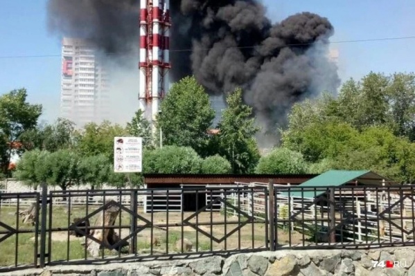 Крупный пожар случился в выходные и в центре Челябинска, рядом с зоопарком. Всего же зафиксированы сотни возгораний Крупный пожар случился в выходные и в центре Челябинска, рядом с зоопарком. Всего же зафиксированы сотни возгораний