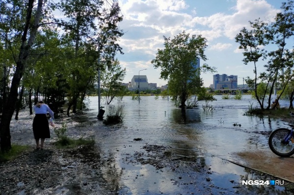 Ситуация на Татышеве пока в норме — и суслики тоже в безопасности Ситуация на Татышеве пока в норме — и суслики тоже в безопасности