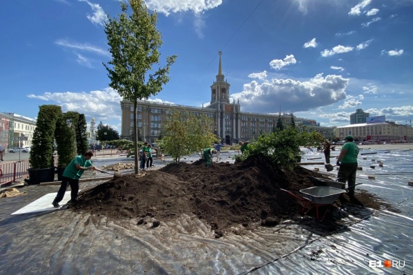 На площадь 1905 года привезут больше 1000 кубометров земли и 1600 квадратных метров рулонного газона На площадь 1905 года привезут больше 1000 кубометров земли и 1600 квадратных метров рулонного газона