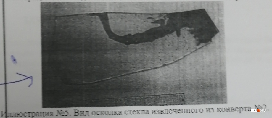 Один из осколков стекла, который мог стать орудием убийства Один из осколков стекла, который мог стать орудием убийства