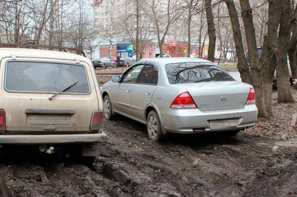 что такое газон в нижнем новгороде. Смотреть фото что такое газон в нижнем новгороде. Смотреть картинку что такое газон в нижнем новгороде. Картинка про что такое газон в нижнем новгороде. Фото что такое газон в нижнем новгороде