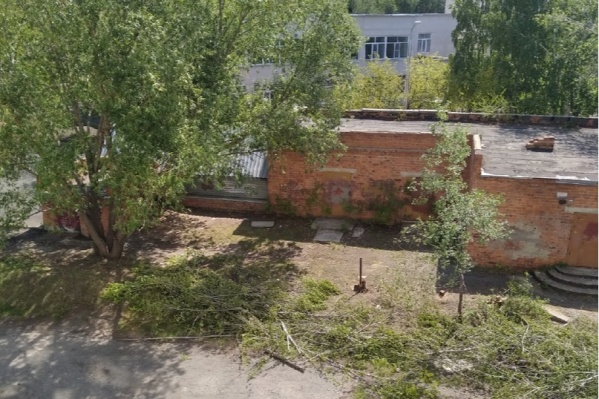 Вырубать деревья начали накануне Вырубать деревья начали накануне