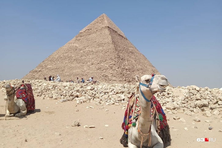 Египет у многих ассоциируется с бескрайней пустыней, пирамидами и верблюдами — этого там и правда в достатке