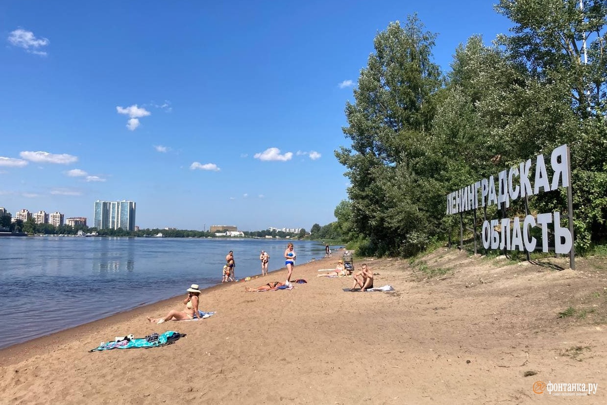 Добро пожаловать в Новосаратовку! Девелоперы Мурино и Кудрово присмотрели новую землю под Петербургом