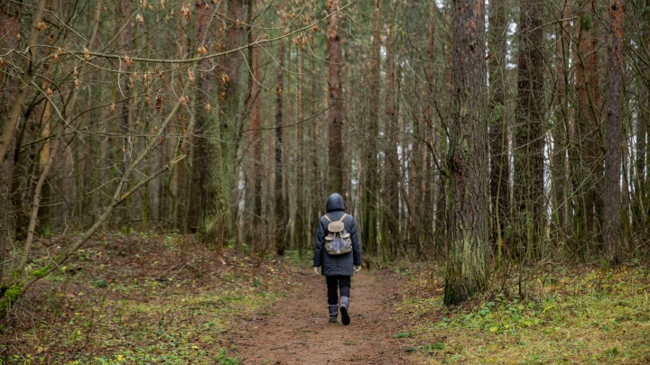 «Наказания ужесточены»: в Ярославской области будут штрафовать за пикники с костром и прогулки по лесу